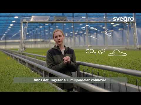 Hej Hortonom - Koldioxid