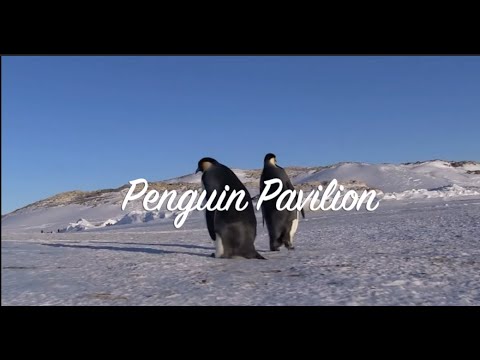 Penguin Pavilion by eKay Originals
