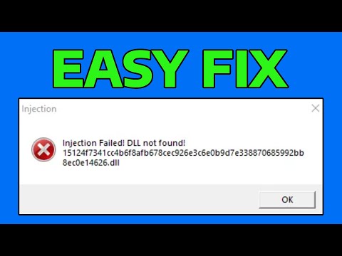 Fluxus Injection Failed