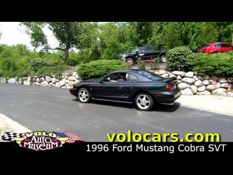 17569 - Ford Mustang Cobra SVT