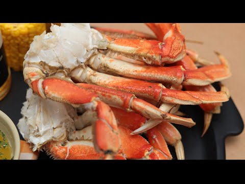 スノー vs ダンジネスクラブレッグ - 知っておくべきことすべて!!