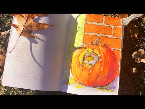 🐿️Secret Life of Squirrels: Unseen Footage of Red Squirrels in Fragmented Forests!