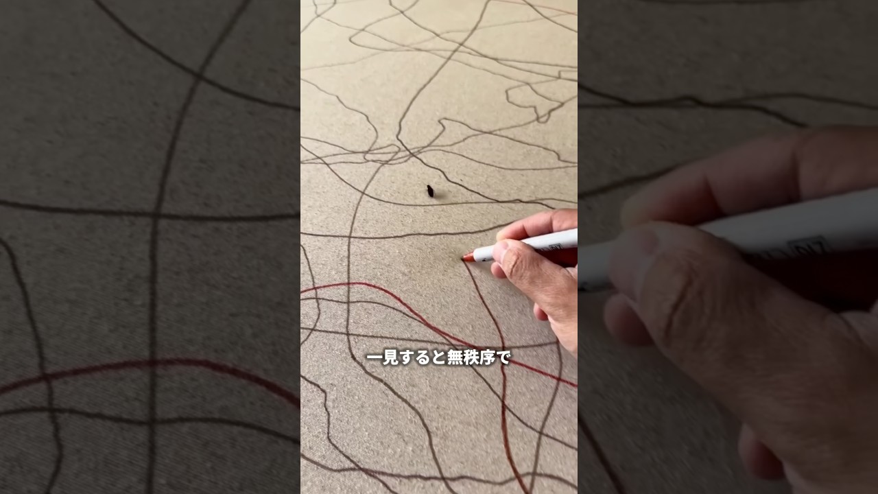 虫との共同作業