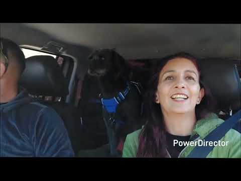 🌎 De Tigre a la Patagonia profunda: ruta hasta Chile Chico 🇦🇷🇨🇱