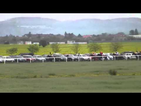 BR, 23. 4. 2016, 1. dostih - Cena letiště Brno - Memoriál Jiřího Císaře