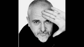 Peter Gabriel - Street Spirit.flv