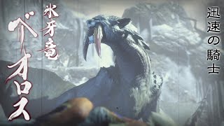 MHRiseを実況プレイ 12【ベリオロス】