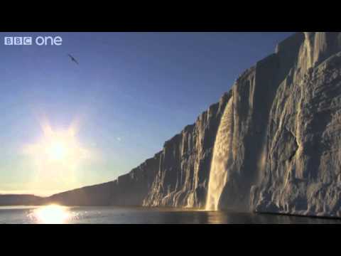 Battle of the Sea Ices: Arctic and Antarctic