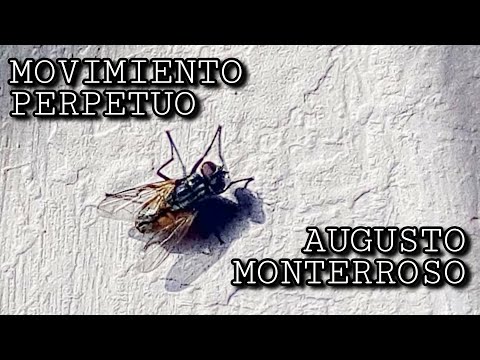 Vido de  Augusto Monterroso