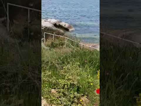 download lagu mp3 mp4 Avsa Adasinda Kiralik Yazlik, download lagu Avsa Adasinda Kiralik Yazlik gratis, unduh video klip Avsa Adasinda Kiralik Yazlik