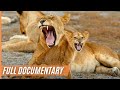 The Last Paradise on Earth - The Amazing Serengeti | Full Documentary