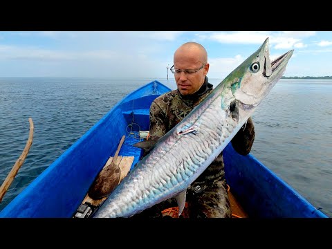 INDO TALES - EPISODE 4 Spanish mackerel ceviche
