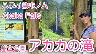 【癒しのジャングル】アカカの滝/ハワイ島ホノム/Akaka Falls Honomu #120