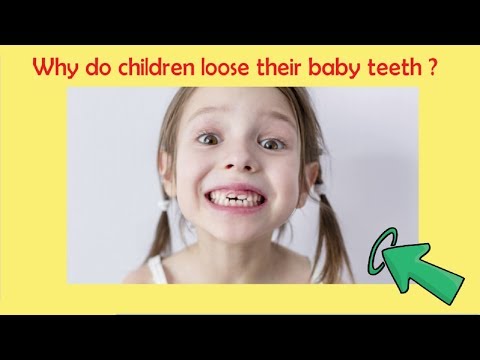 Why do children lose their baby teeth ?