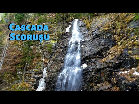 Cascada Scoruşu, Cascada Scoruş sau Cascada lui Ciucă - informaţii traseu
