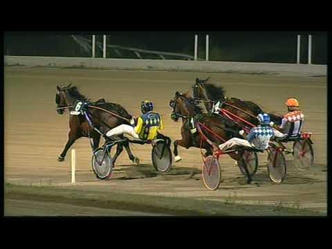 Trotto 21/08/2020 - 5ª corsa