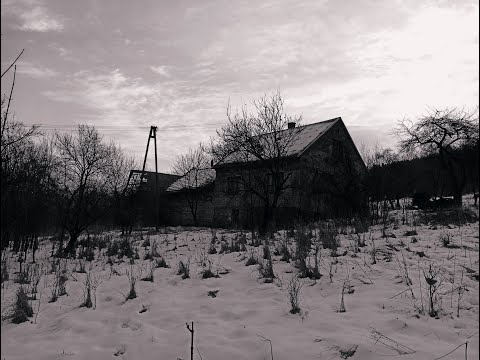 Opuszczony dom w lesie. Urbex.