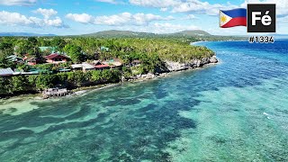 Bohol Bee Farm - DJI Mavic 3 January 2022 - Panglao, Bohol, Philippines | #1334
