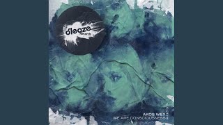 We Are Consciousness