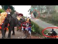 KERALA ELEPHANT ATTACK COMPILATION