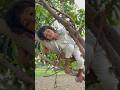 Khaungi To Mircha Hi ️ ️ Shortfeed Comedy Funny Ytshorts Video Viral Shorts