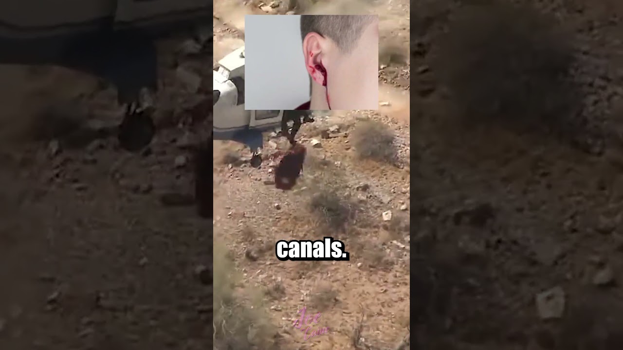 Helicopter Rescue Gone Wrong 👵