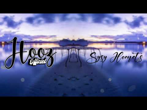 FAYA VIBES Ft SYSY  x AKON - LEAN ON ME [ HORNETS MIX ] 2K23