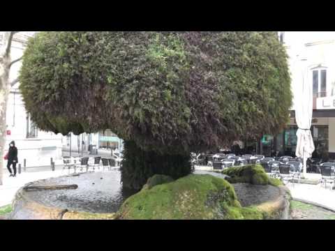 La Fontaine Moussue, Salon de Provence, France