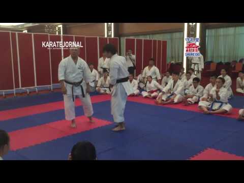 Pachu BUNKAI SAKUMOTO TSUGUO AKF TRAINIG CAMP 2016 VIETNAM