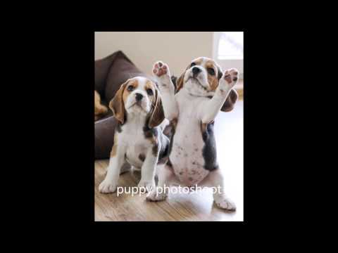 Amritha     GUESS THE MOVIE!