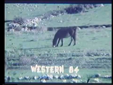 "Intrigo" di Bruno Vani e Renato Polselli