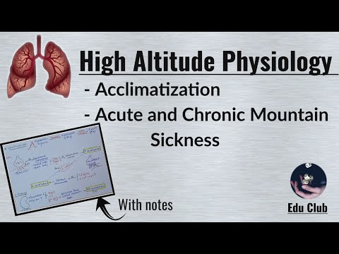 High Altitude Physiology | Acclimatization | Mountain sickness || Respiratory Physiology