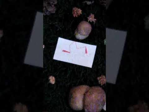 Sul cucuzzolo   Elisa Gaspari    Cro Trail 4 5 luglio 2020