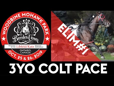 2019 Breeders Crown Elim#1 - Dancin Lou - 3YO Colt Pace