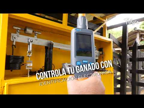 Identigan en TV Agro: un capítulo dedicado a la identificación electrónica del ganado