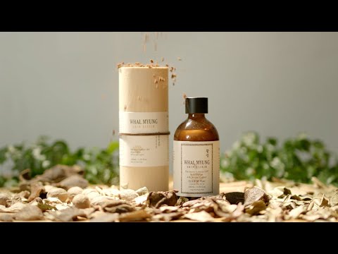 Brand 36 — watch on YouTube
