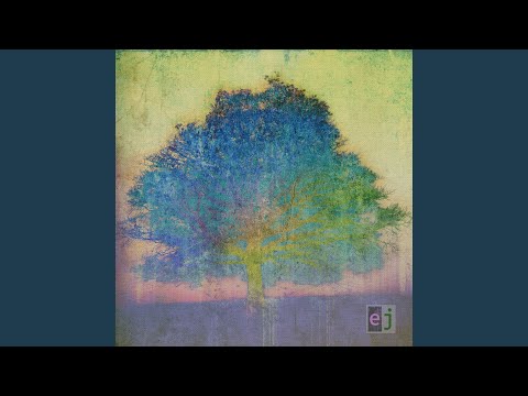 Eric Johnson - Song For Irene Guitar pro tab