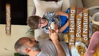 🍯🐝 The Benefits of my Powerful Bee-Based Dessert
