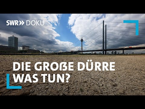 Die große Dürre. Was tun, damit Deutschland nicht austrocknet? | SWR Doku