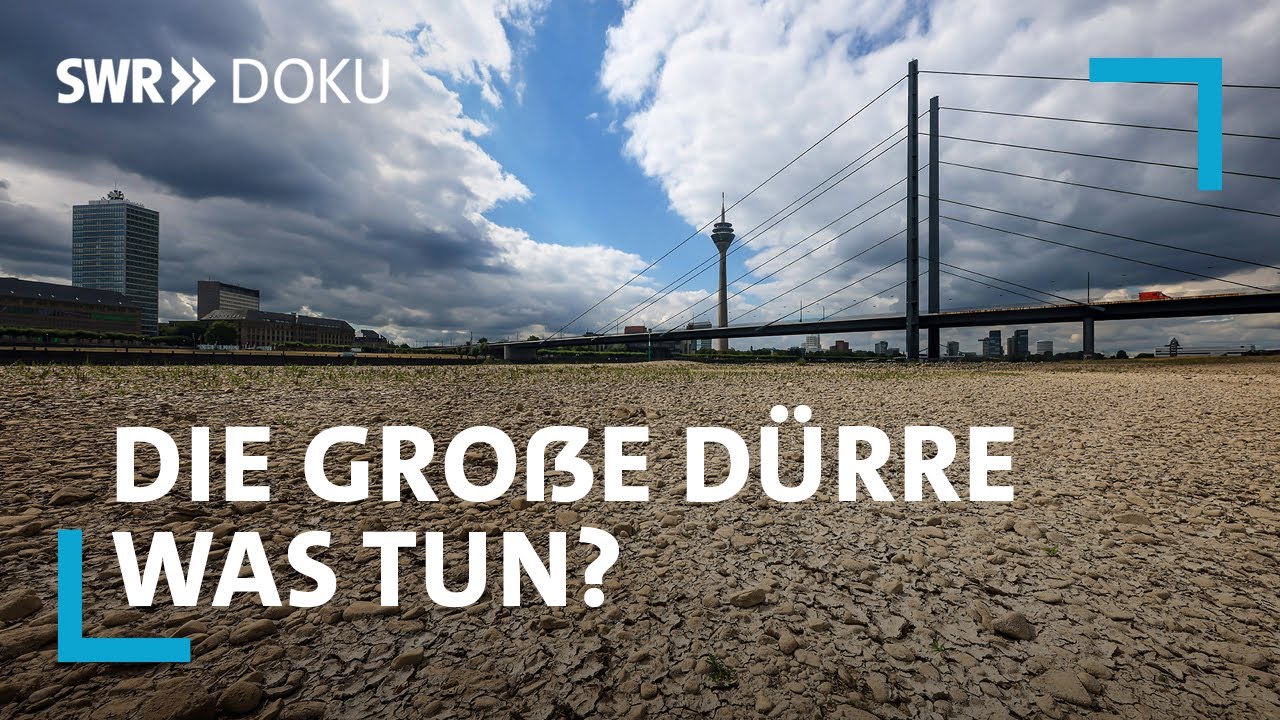 youtube video id=Rq5JXpU5mtE