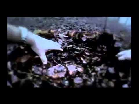 Hysteria Project (iOS/PS3/PSP/PS Vita) Review