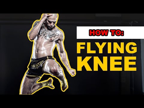 All "Flying Knee" Finishes in UFC