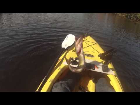 Pickerel fishing in country lakes in New Jersey