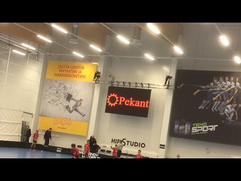 Ols tiikerit - hahep06