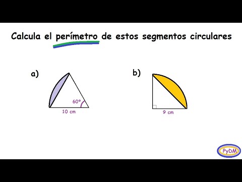 Perímetro de Segmento Circular