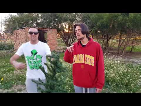 Ñ DE DUEÑO & PICHI - MARÍA TE QUIERO