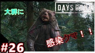 【DAYS GONE】#26  大群対決！仲間探し！！　【ストーリー実況】荒廃した世界で戦え！『TPS・デイズゴーン』