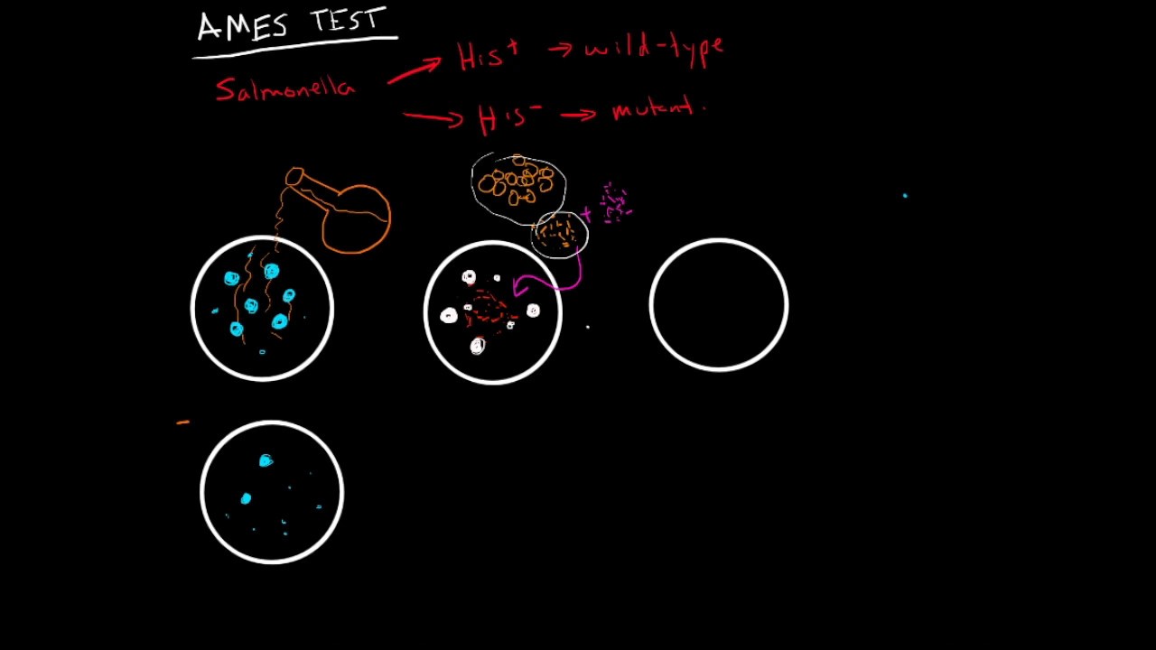 Ames Test for Mutagenic Chemicals