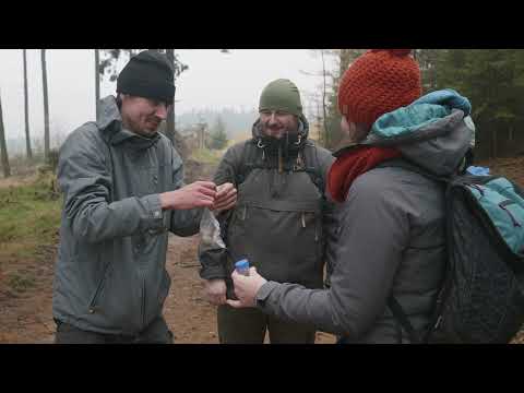 Náhled pro video reference