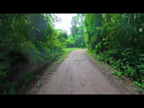 Calilegua - Jujuy- Argentina